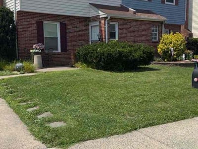 Lawn Care service in Quakertown, 18951