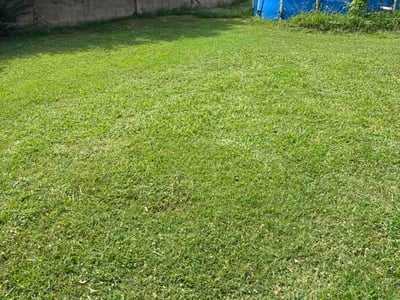Lawn Care service in Wagoner, 74467