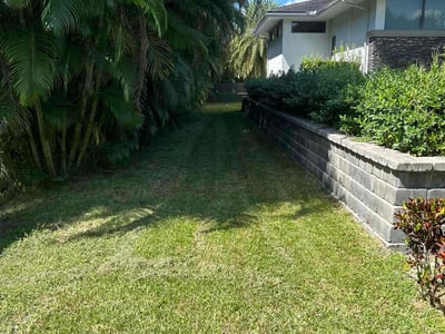 Lawn Care service in Plantation, 33317