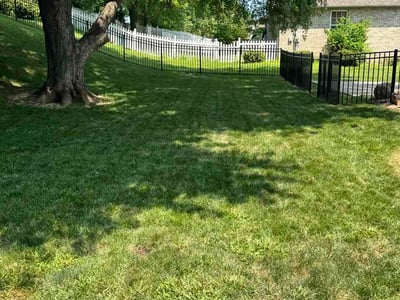 Lawn Care service in Edwardsville, 62025