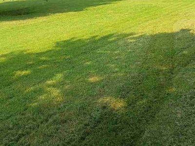 Lawn Care service in Collinsville, 62234