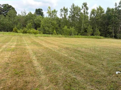 Lawn Care service in Flint, 48502