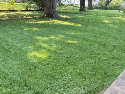 Lawn Care service in O Fallon, 63366