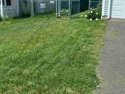 Lawn Care service in Waterbury, 06710