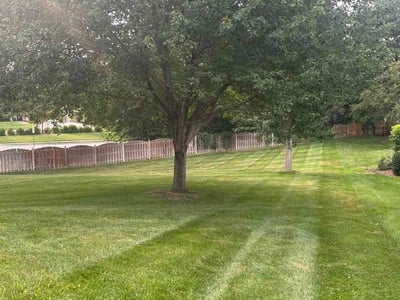 Lawn Care service in Bountiful, 84010