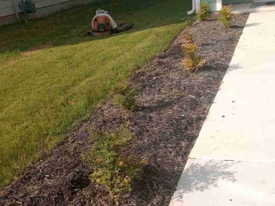 Lawn Care service in Wallingford, 06492