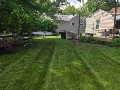 Lawn Care service in Anoka, 55303