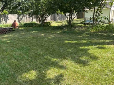 Lawn Care service in Kaukauna, 54130