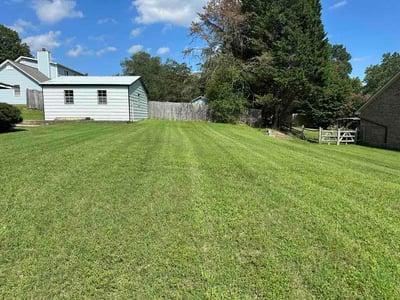 Lawn Care service in Kernersville, 27284