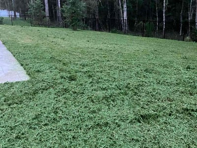 Lawn Care service in Fernandina Beach, 32034
