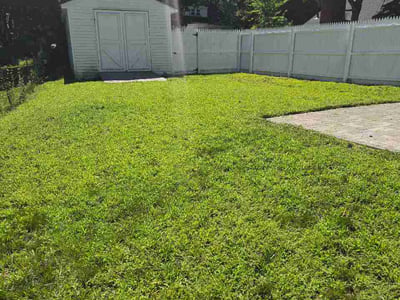 Lawn Care service in Fitchburg, 01420