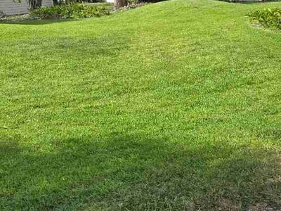 Lawn Care service in Melbourne Beach, 32951