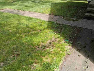 Lawn Care service in Hamden, 06518