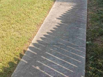 Lawn Care service in Hyattsville, 20781