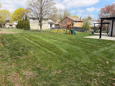 Lawn Care service in Mason, 48854