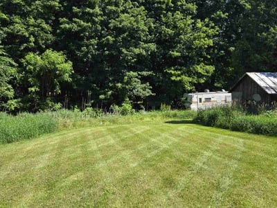 Lawn Care service in Charlotte, 48813