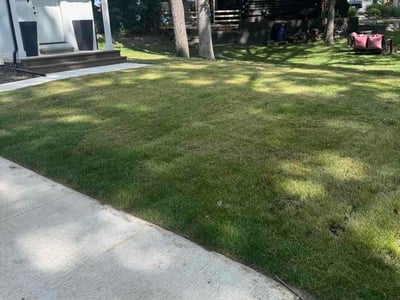 Lawn Care service in Mount Clemens, 48043