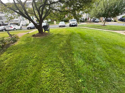 Lawn Care service in Leesburg, 20176