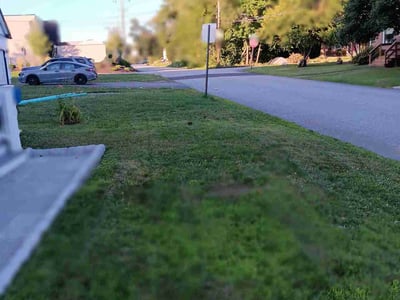 Lawn Care service in Torrington, 06790