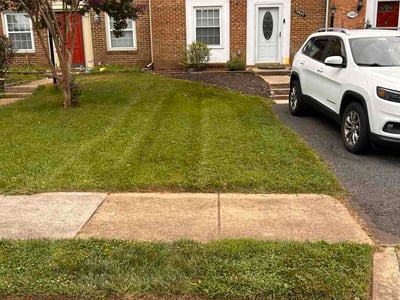 Lawn Care service in Centreville, 20120