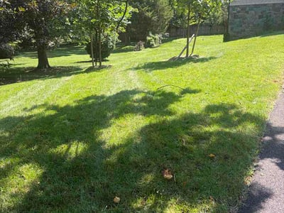 Lawn Care service in Lorton, 22079