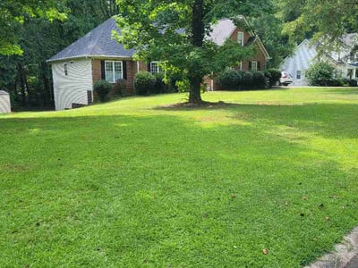 Lawn Care service in Torrington, 06790