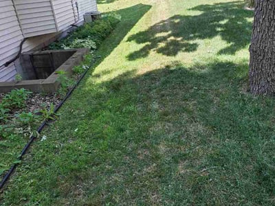 Lawn Care service in Brooklyn Park, 55443