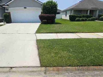 Lawn Care service in Torrington, 06790