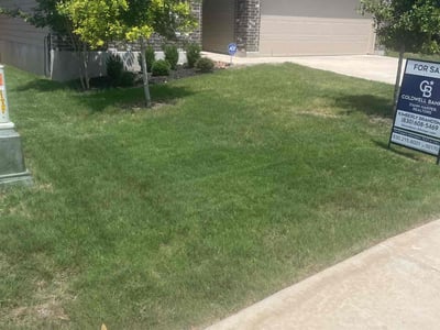 Lawn Care service in Torrington, 06790