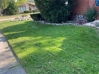 Lawn Care service in Oak Park, 48237