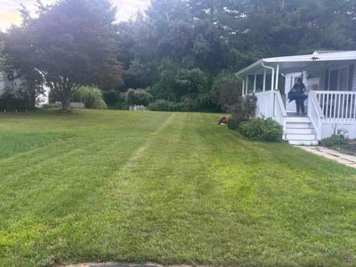 Lawn Care service in Willimantic, 06226