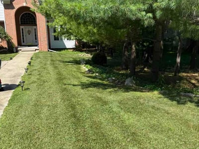 Lawn Care service in Okemos, 48864