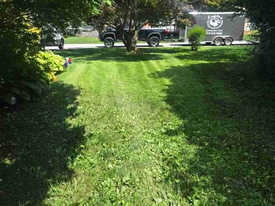 Lawn Care service in Camp Hill, 17011
