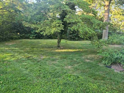 Lawn Care service in Camp Hill, 17011