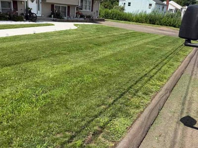 Lawn Care service in East Haven, 06512