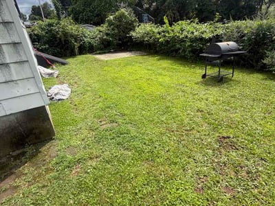Lawn Care service in East Haven, 06512