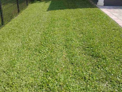 Lawn Care service in Middleburg, 32068