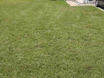 Lawn Care service in Middleburg, 32068