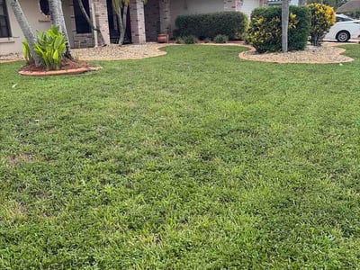 Lawn Care service in Sunrise, 33322