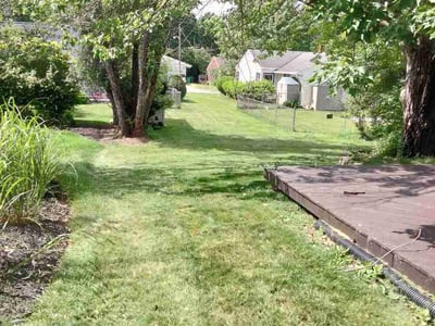 Lawn Care service in Sparta, 49345