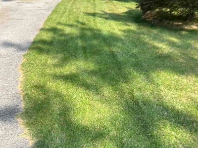 Lawn Care service in Marshfield, 65706