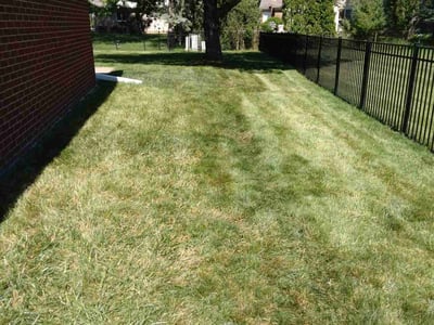 Lawn Care service in Grandville, 49418