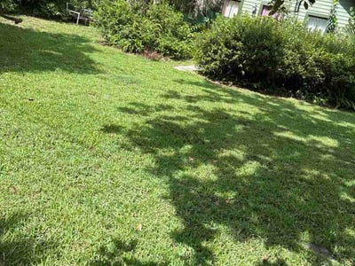 Lawn Care service in Coral Springs, 33065