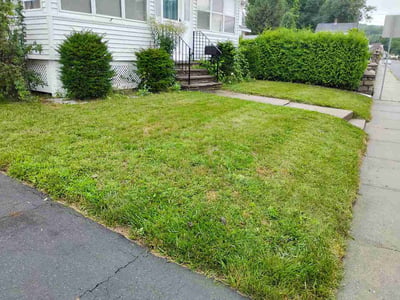 Lawn Care service in Holyoke, 01040