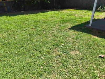 Lawn Care service in El Reno, 73036