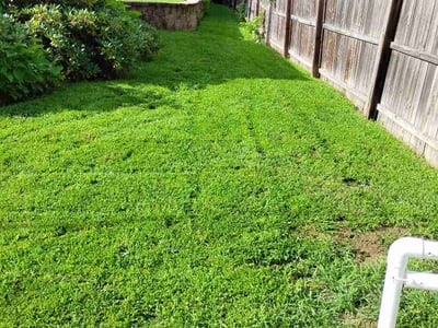 Lawn Care service in Holyoke, 01040