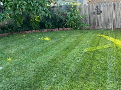 Lawn Care service in West Haven, 06516