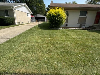 Lawn Care service in Brighton, 48116