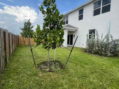 Lawn Care service in Pompano Beach, 33060