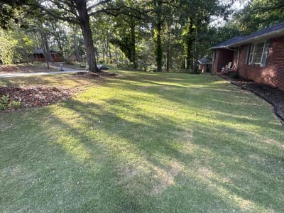 Lawn Care service in West Haven, 06516